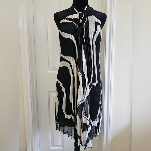 Arden B. Accordian Dress black and white dress - Picture 1 of 5